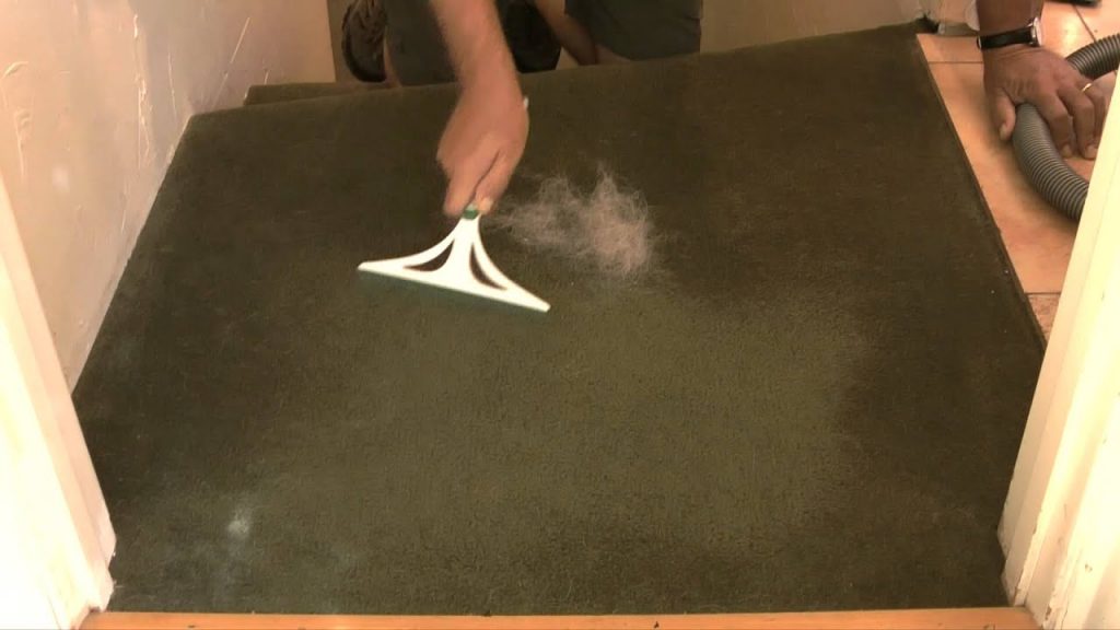 Pet Hair Removal From The Carpet